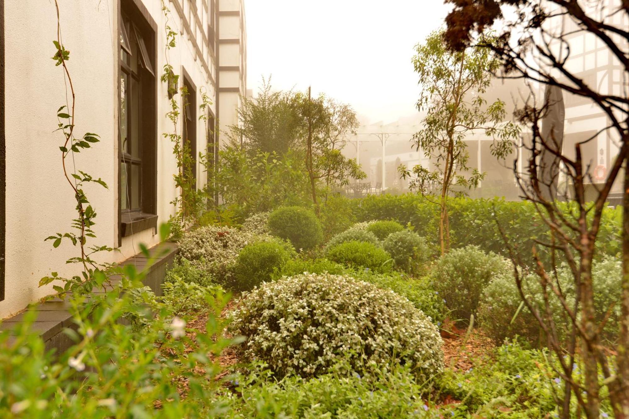 Anew Hotel Hilton Pietermaritzburg Exterior photo